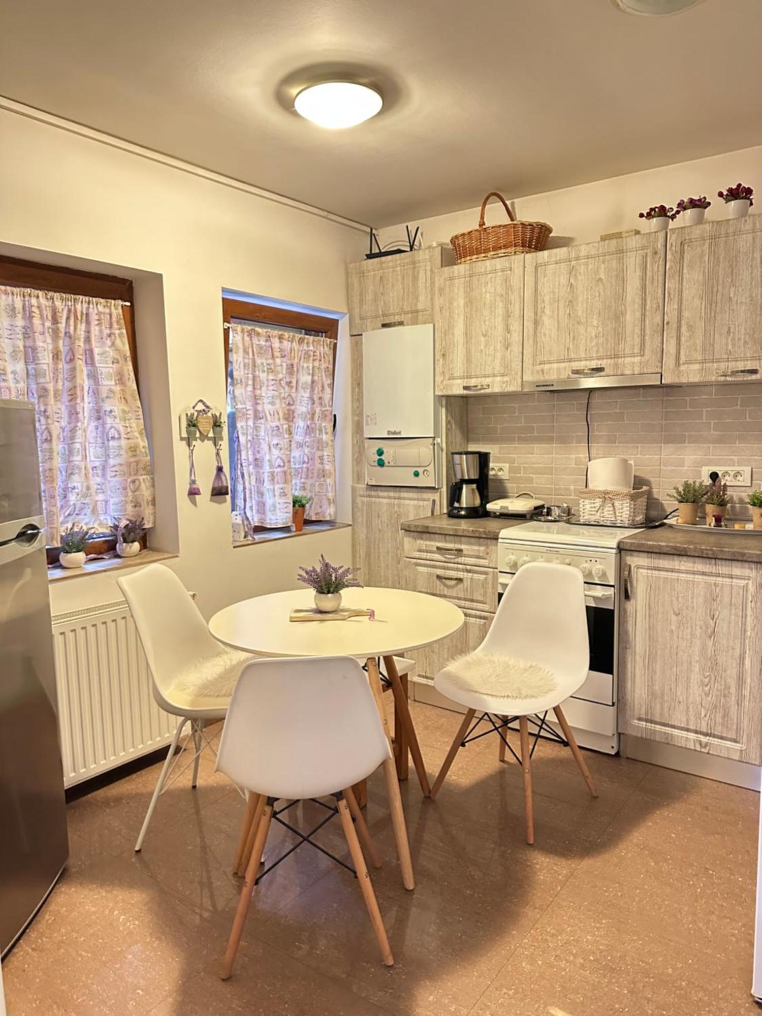 Grazia Apartment Τιμισοάρα Εξωτερικό φωτογραφία